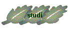 studi